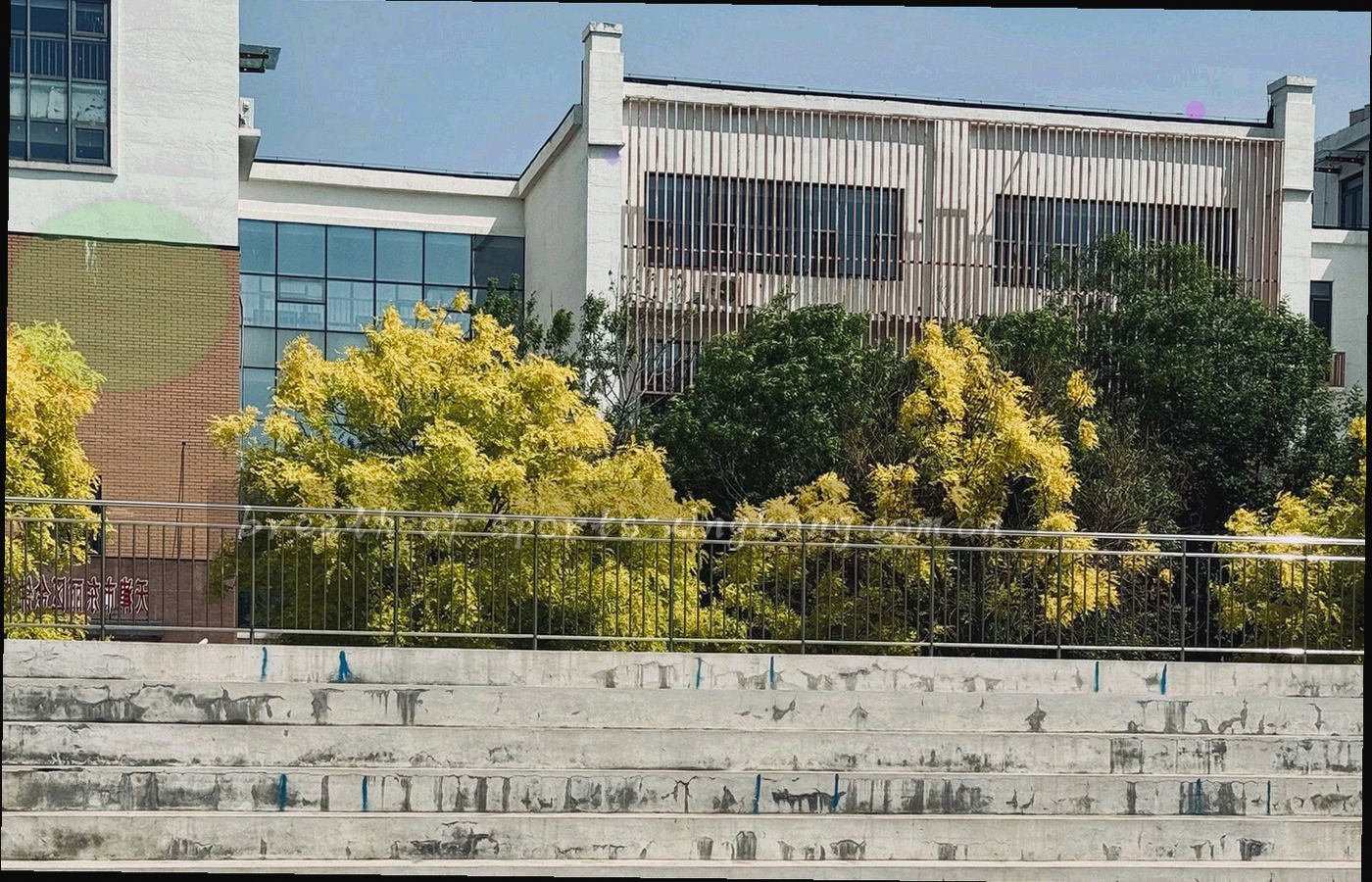 室内观赛活动现场的广角远景，观众背影朝向大屏幕，屏幕光晕铺满前场